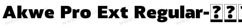 Akwe Pro Ext Regular字体转换